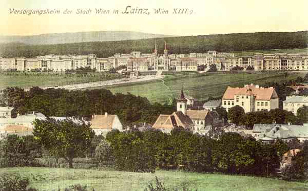 Versorgungsheim der Stadt Wien in Lainz, Übersicht